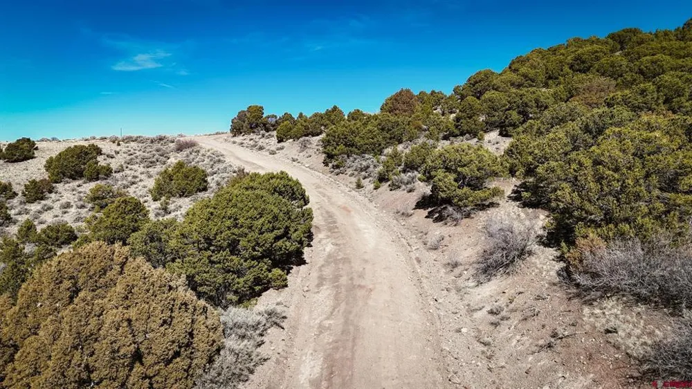 known address Fort  Garland, CO 81133