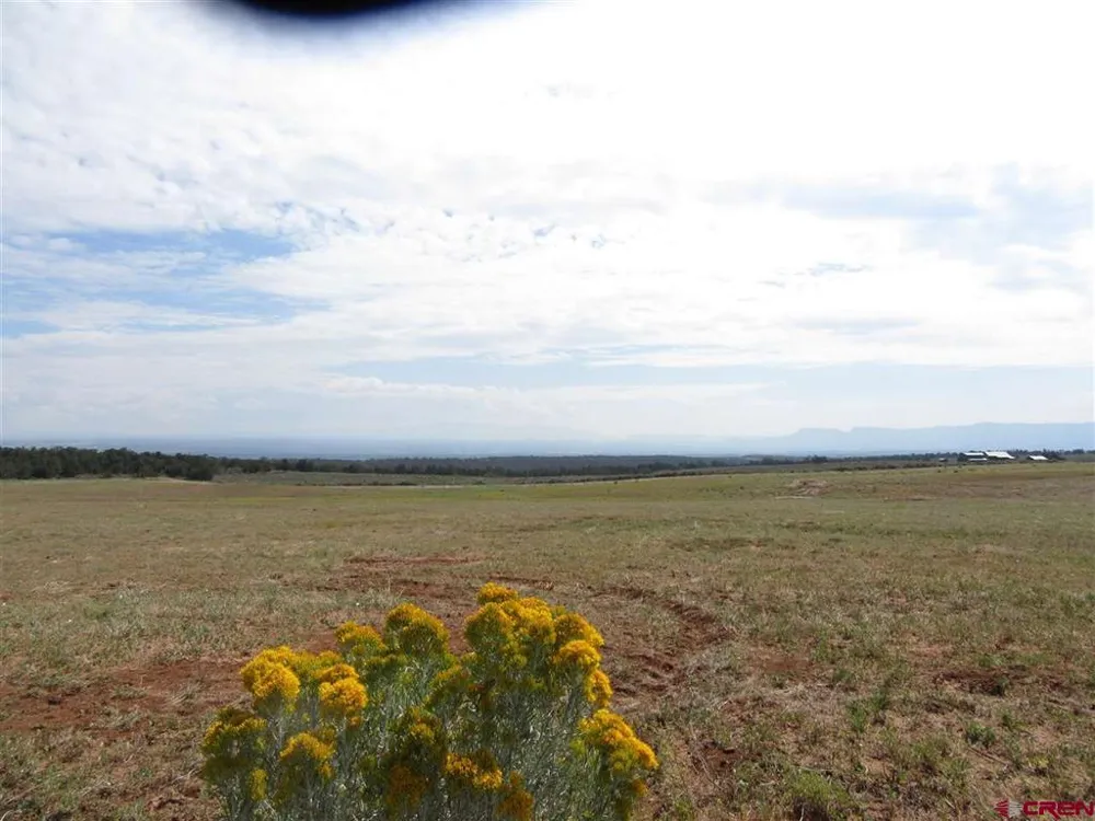 12 Road 17.9 Cortez, CO 81321