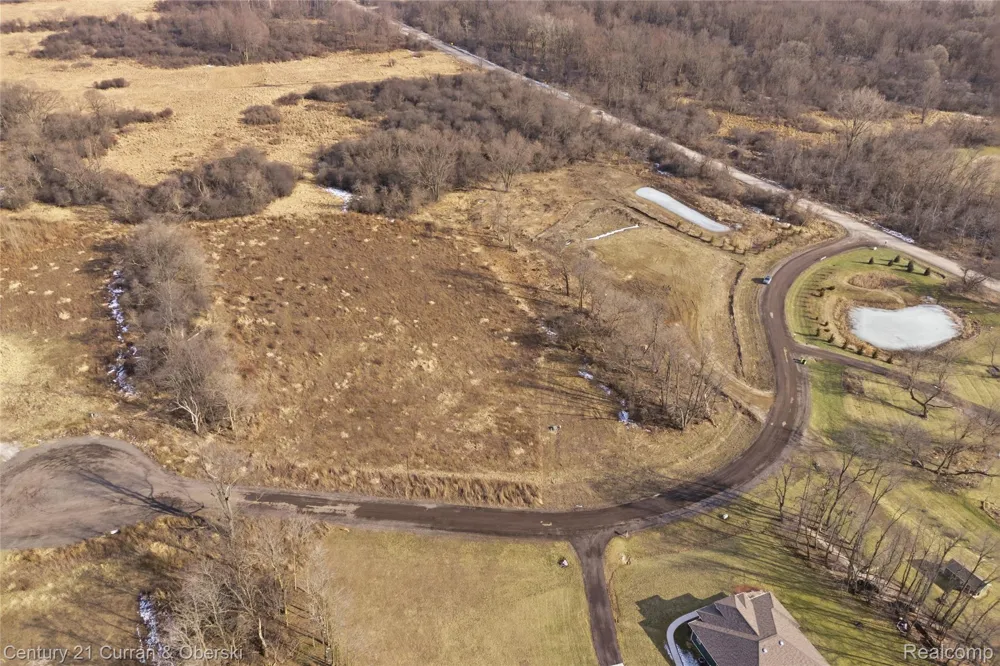 943 Serenity Way Scio Township, MI 48103