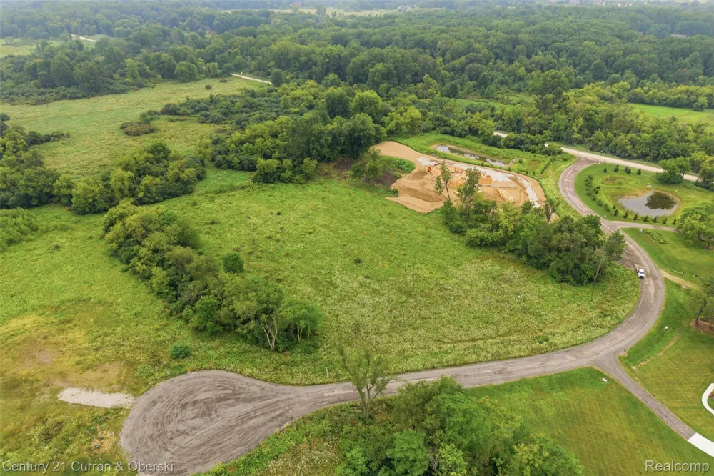 943 Serenity Way Scio Township, MI 48103