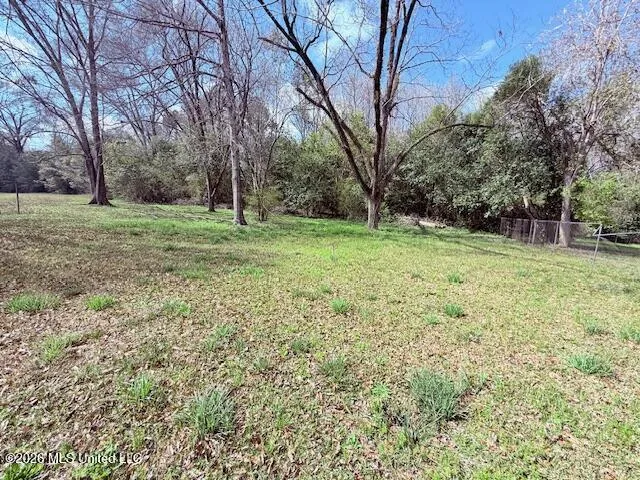 417 Franklinton Street Tylertown, MS 39667