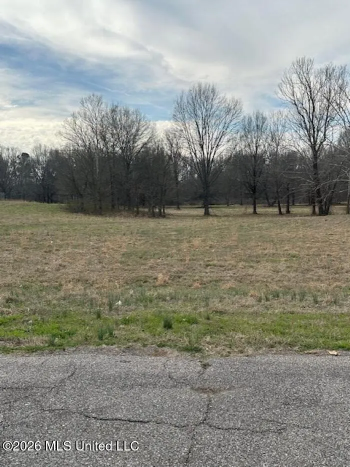 W Alden Lake Dr. Horn Lake, MS 38637