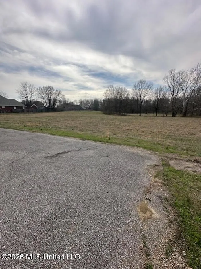 W Alden Lake Dr. Horn Lake, MS 38637