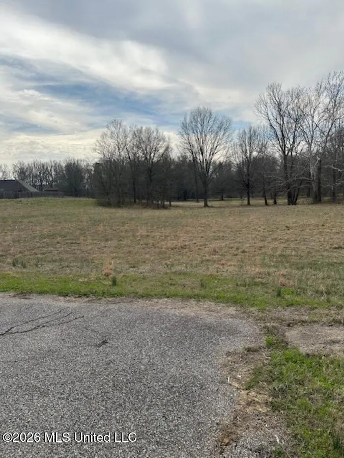 W Alden Lake Dr. Horn Lake, MS 38637