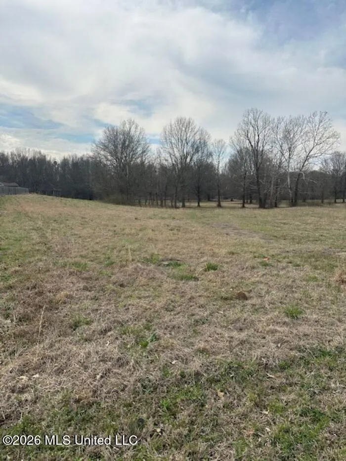 W Alden Lake Dr. Horn Lake, MS 38637