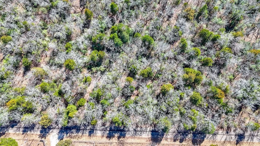 FCR 540 Fairfield, TX 75840