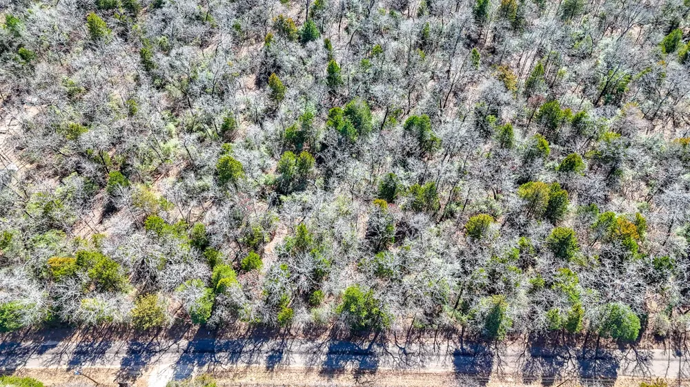 FCR 540 Fairfield, TX 75840