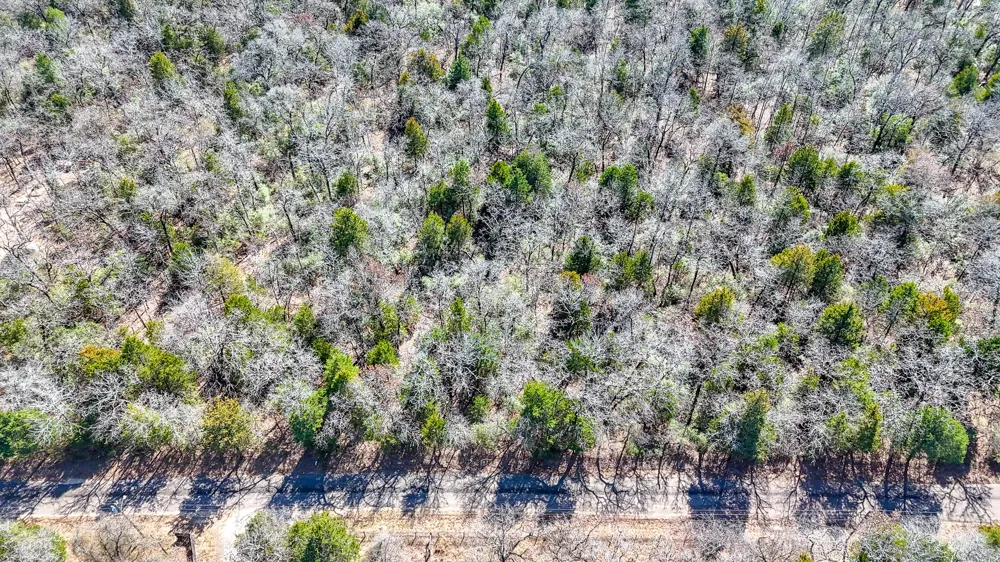 FCR 540 Fairfield, TX 75840