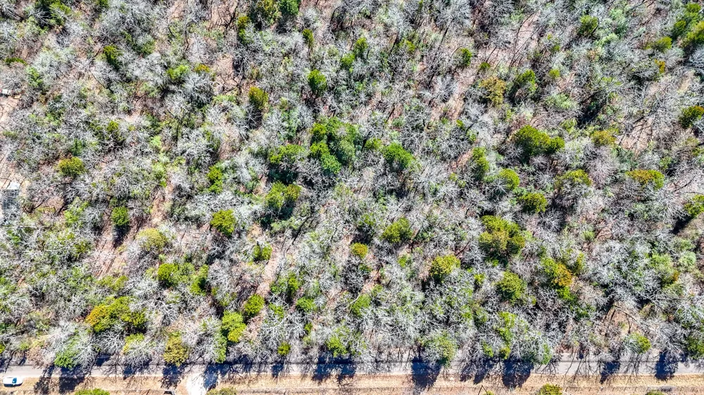 FCR 540 Fairfield, TX 75840