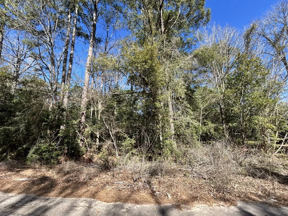 Buckingham Drive Woodville, TX 75979