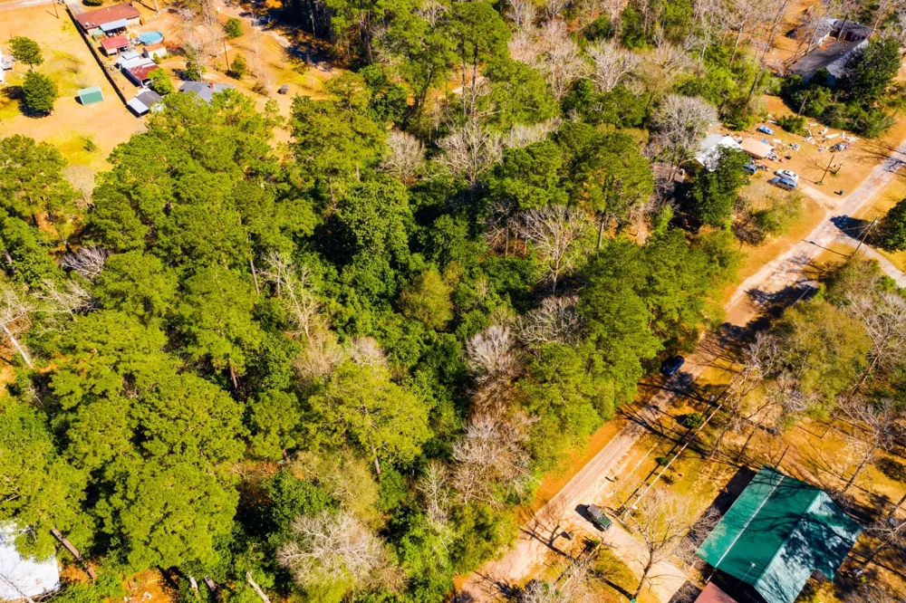 Buckingham Drive Woodville, TX 75979