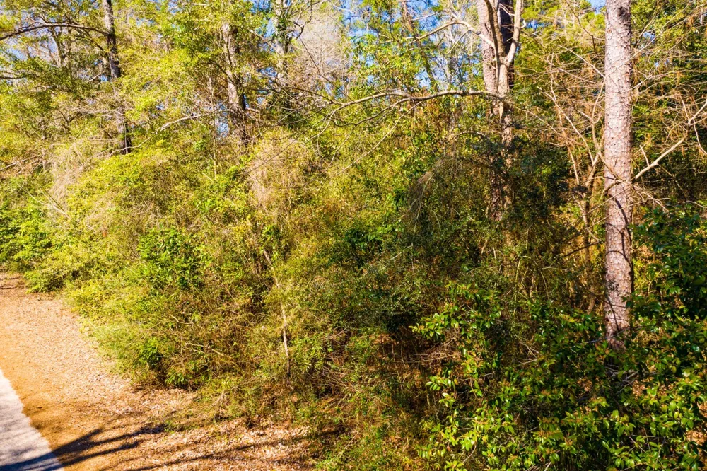 Buckingham Drive Woodville, TX 75979