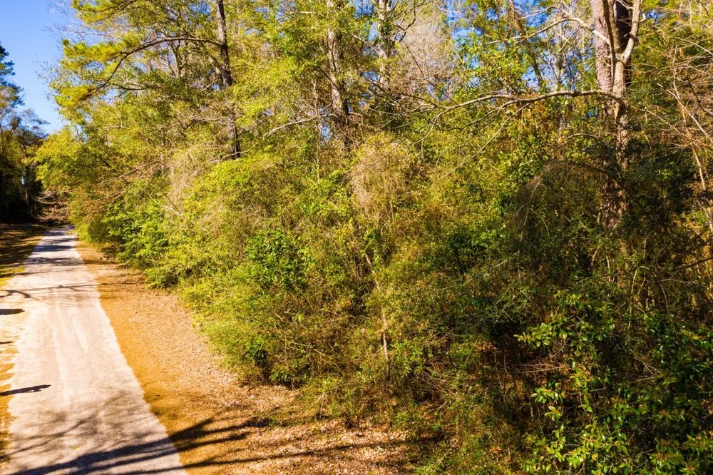 Buckingham Drive Woodville, TX 75979