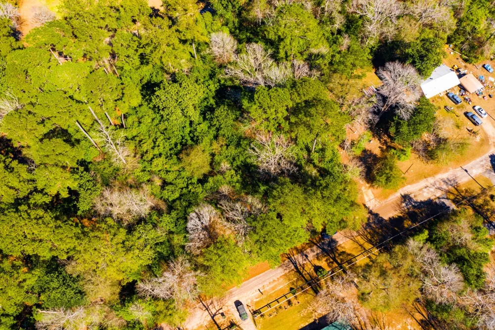 Buckingham Drive Woodville, TX 75979