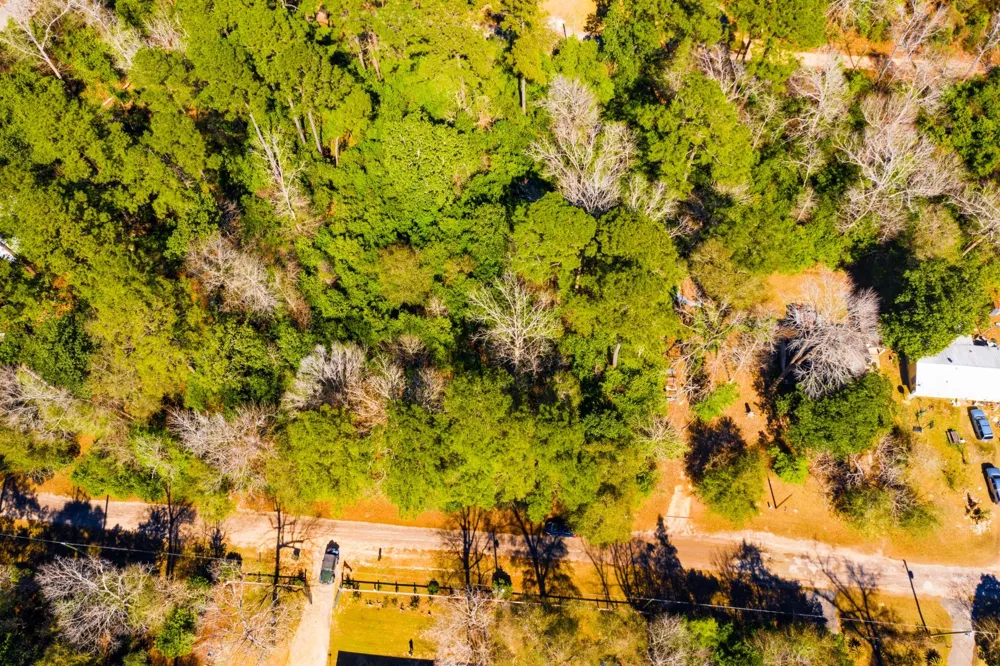 Buckingham Drive Woodville, TX 75979