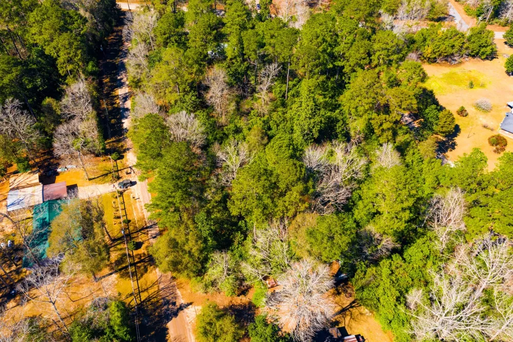 Buckingham Drive Woodville, TX 75979