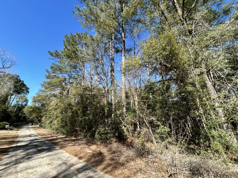 Buckingham Drive Woodville, TX 75979