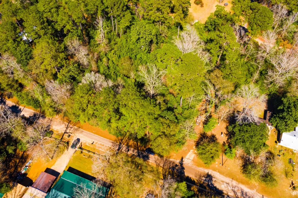 Buckingham Drive Woodville, TX 75979