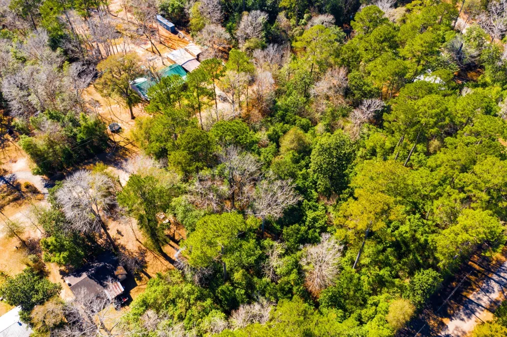 Buckingham Drive Woodville, TX 75979