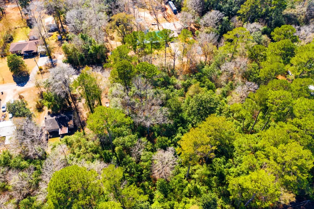 Buckingham Drive Woodville, TX 75979