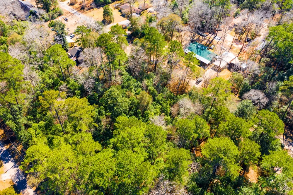 Buckingham Drive Woodville, TX 75979