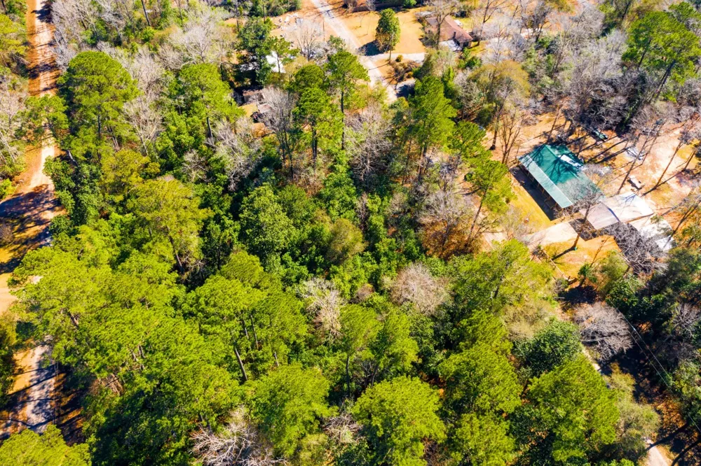 Buckingham Drive Woodville, TX 75979