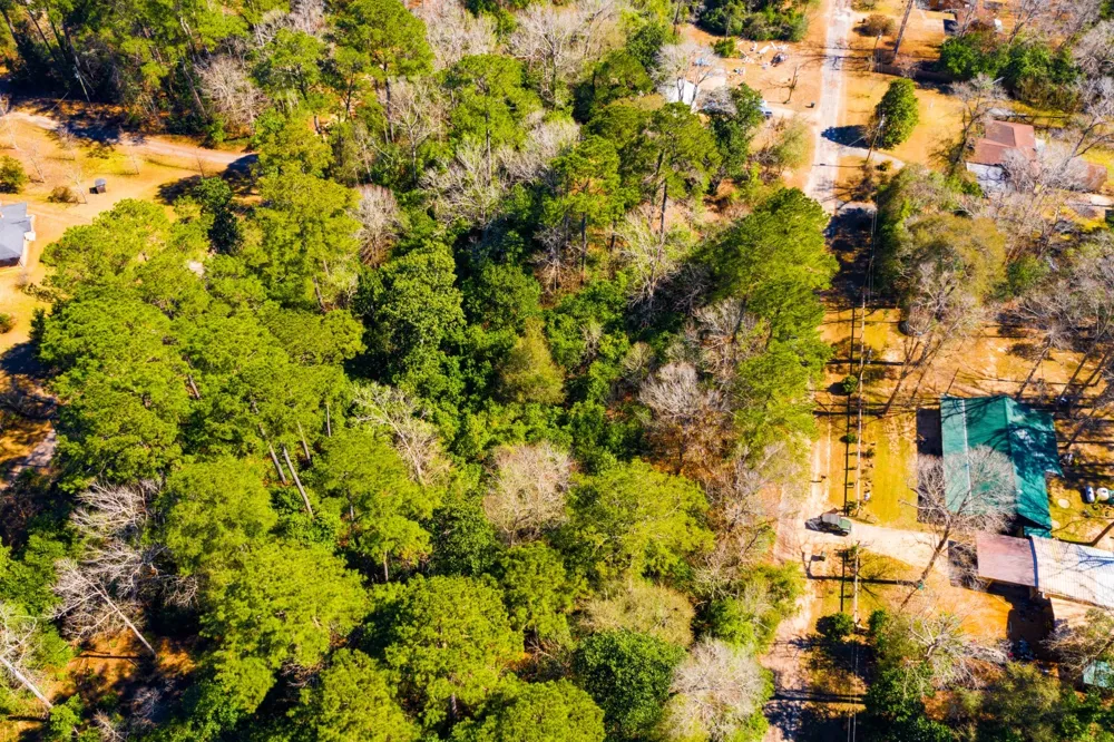Buckingham Drive Woodville, TX 75979