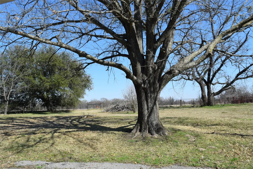 741 County Road 1222 Grand Saline, TX 75140
