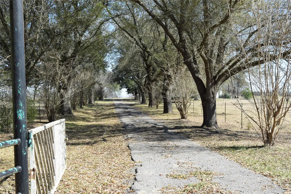 741 County Road 1222 Grand Saline, TX 75140