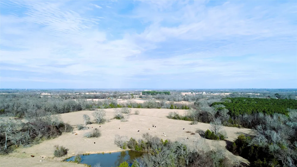 741 County Road 1222 Grand Saline, TX 75140
