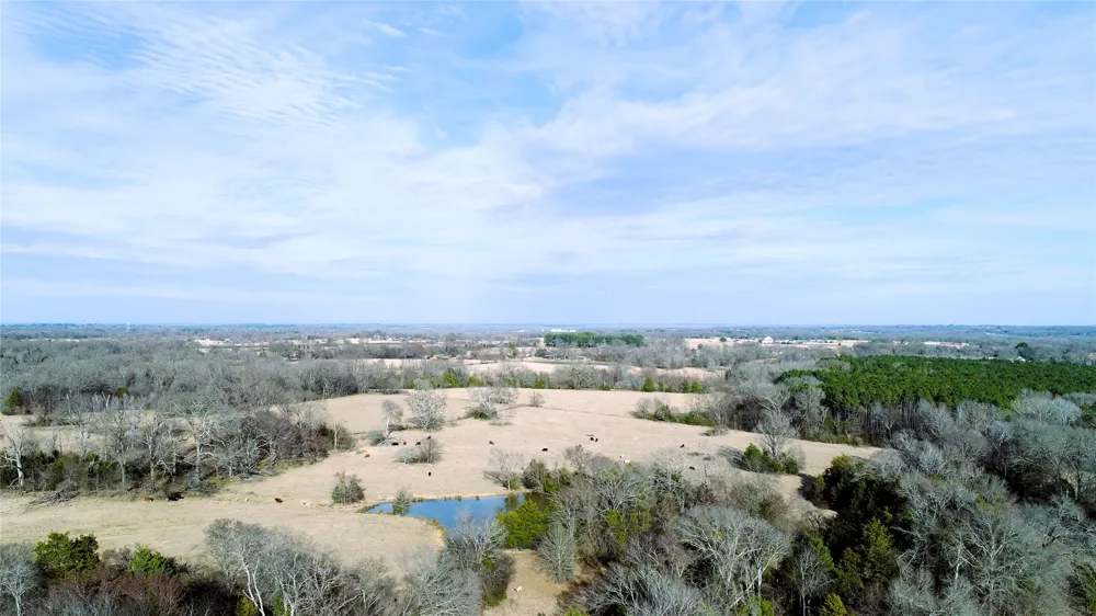 741 County Road 1222 Grand Saline, TX 75140