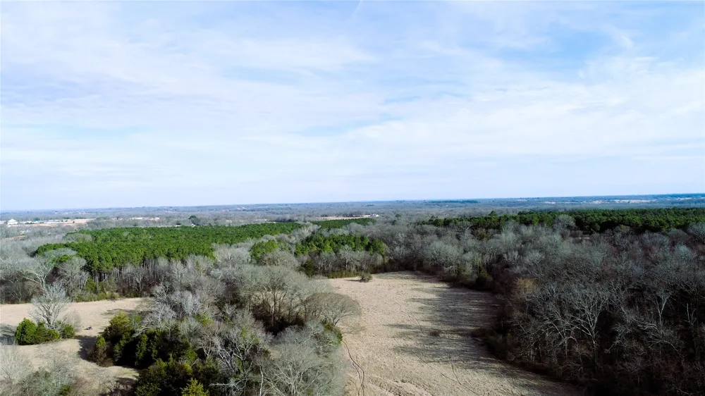 741 County Road 1222 Grand Saline, TX 75140