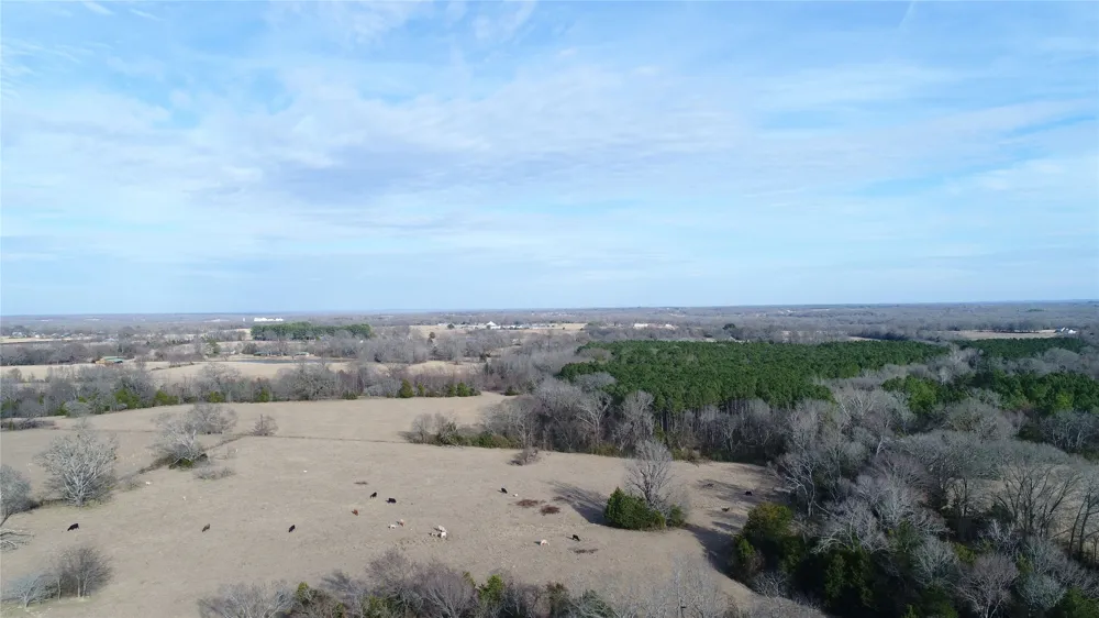 741 County Road 1222 Grand Saline, TX 75140