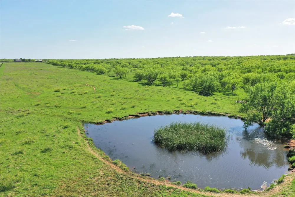 8617 Farm to Market 175 Jacksboro, TX 76458