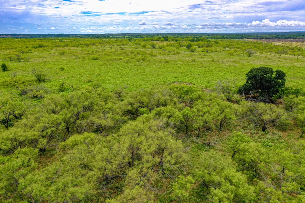 8617 Farm to Market 175 Jacksboro, TX 76458
