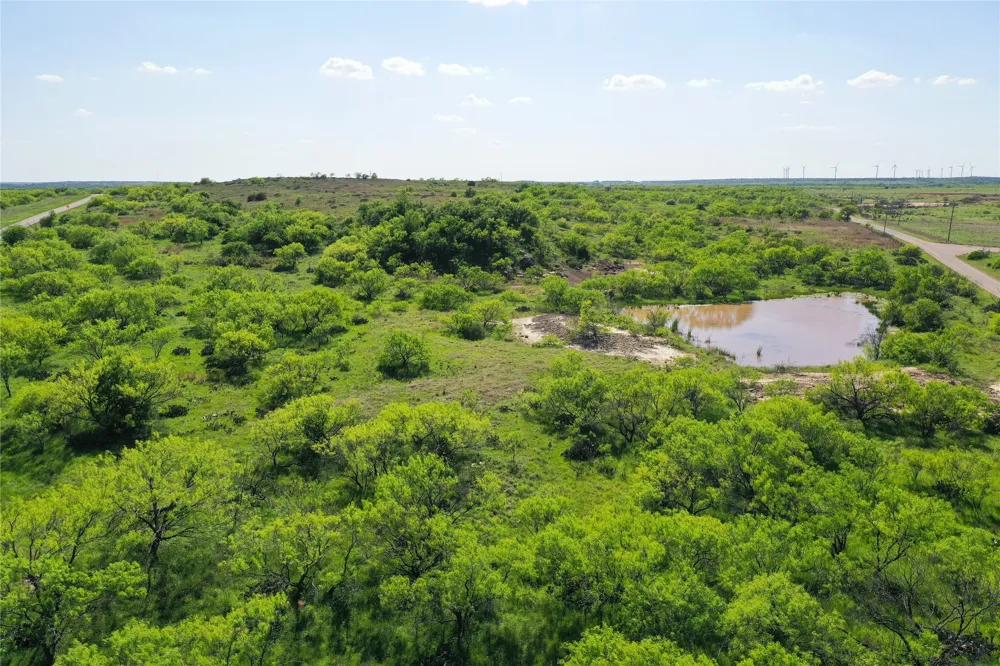 8617 Farm to Market 175 Jacksboro, TX 76458