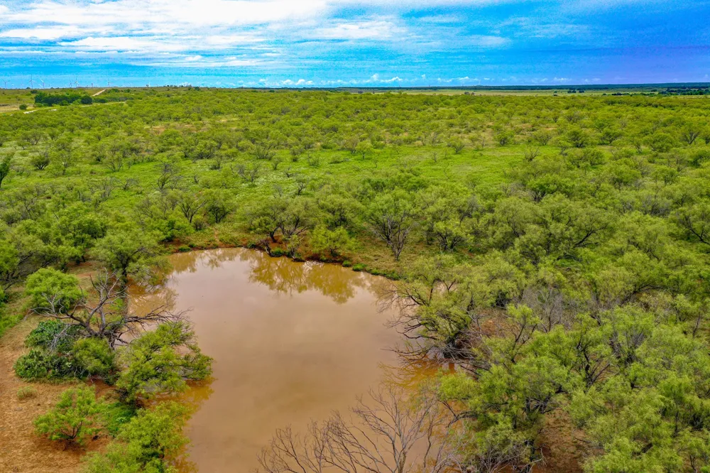 8617 Farm to Market 175 Jacksboro, TX 76458