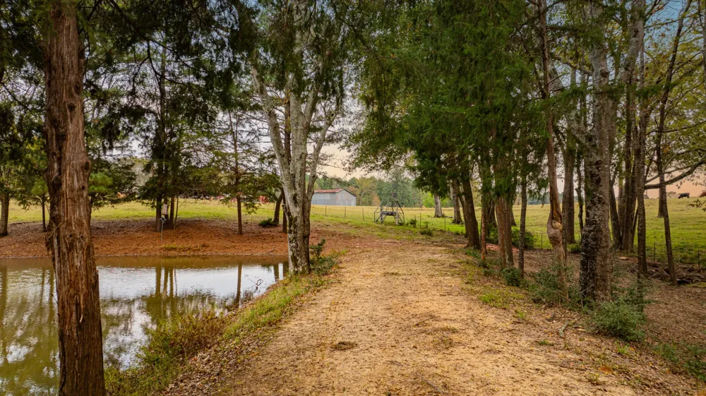 1855 Phillips Springs Road Gladewater, TX 75647