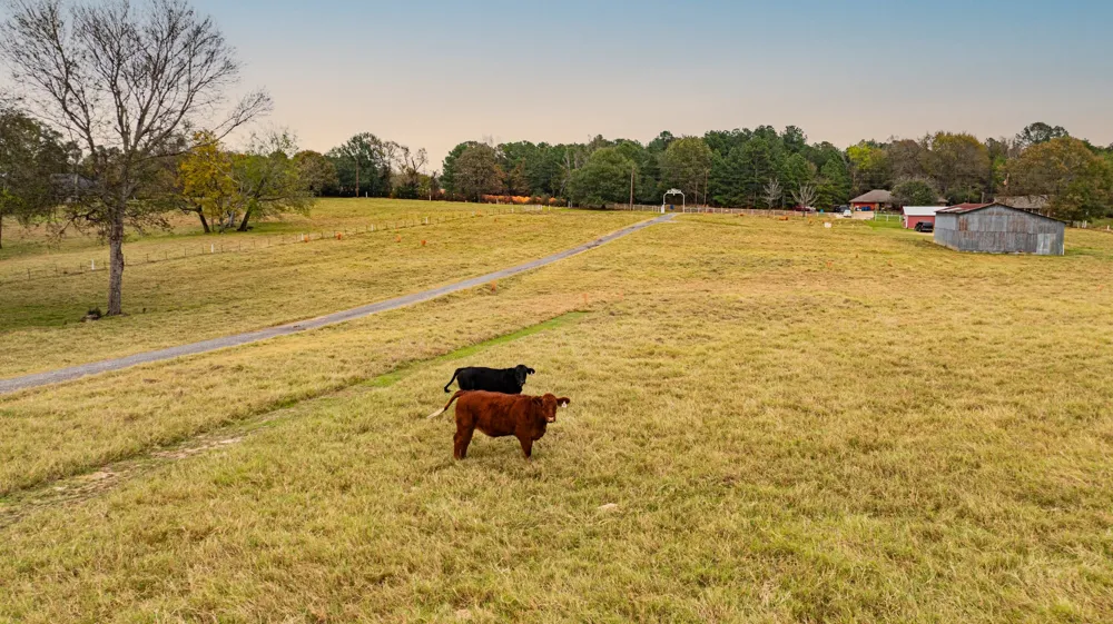 1855 Phillips Springs Road Gladewater, TX 75647