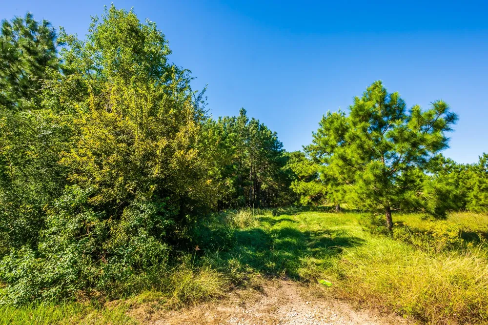 S Main Anahuac, TX 77514