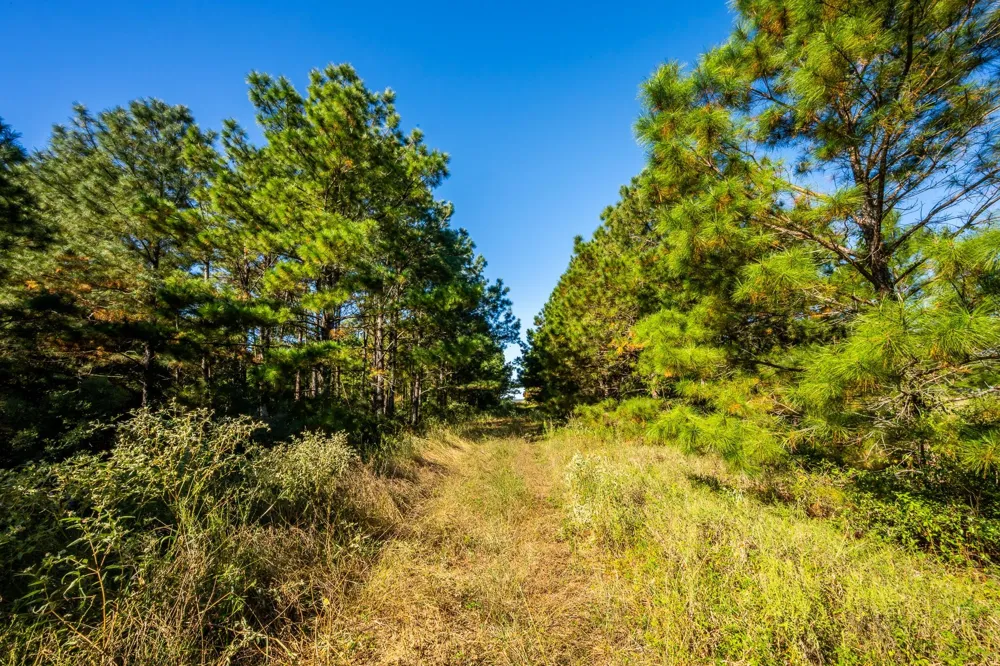 S Main Anahuac, TX 77514