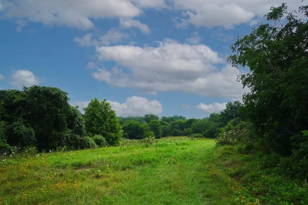 Holle Lane Washington, TX 77880