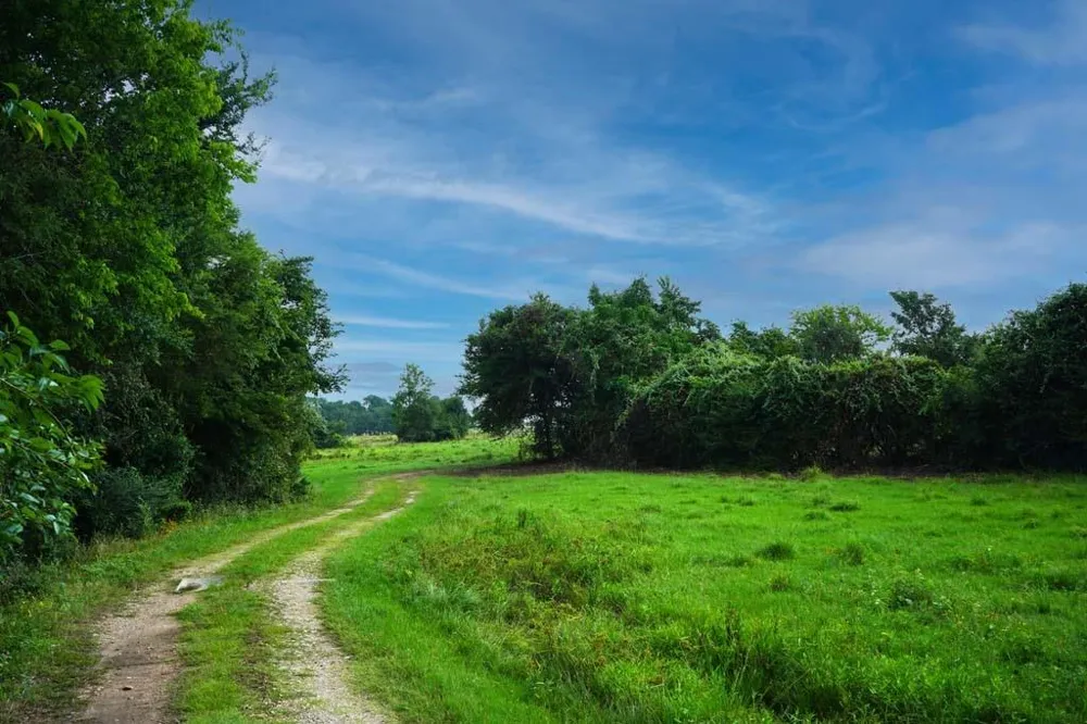 Holle Lane Washington, TX 77880
