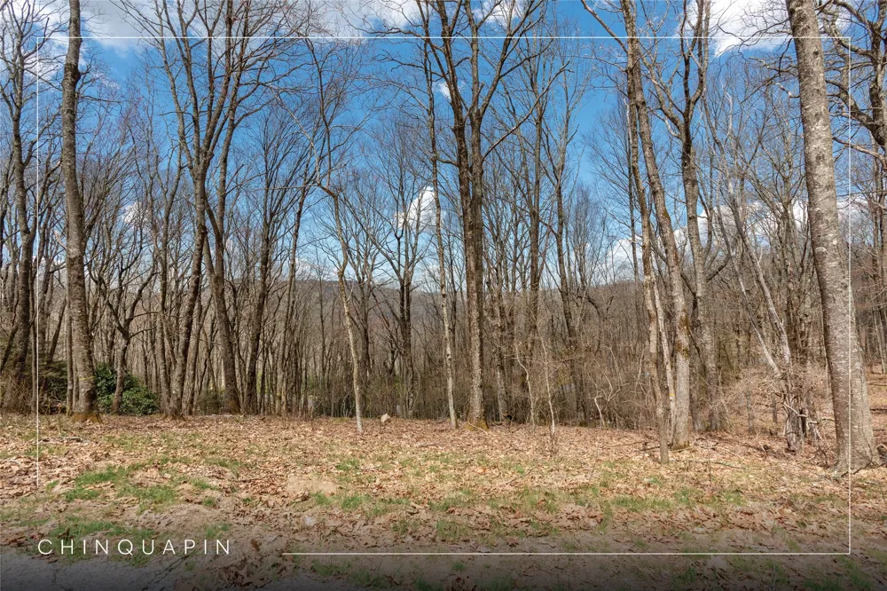 D34 Benchmark Drive Glenville, NC 28736