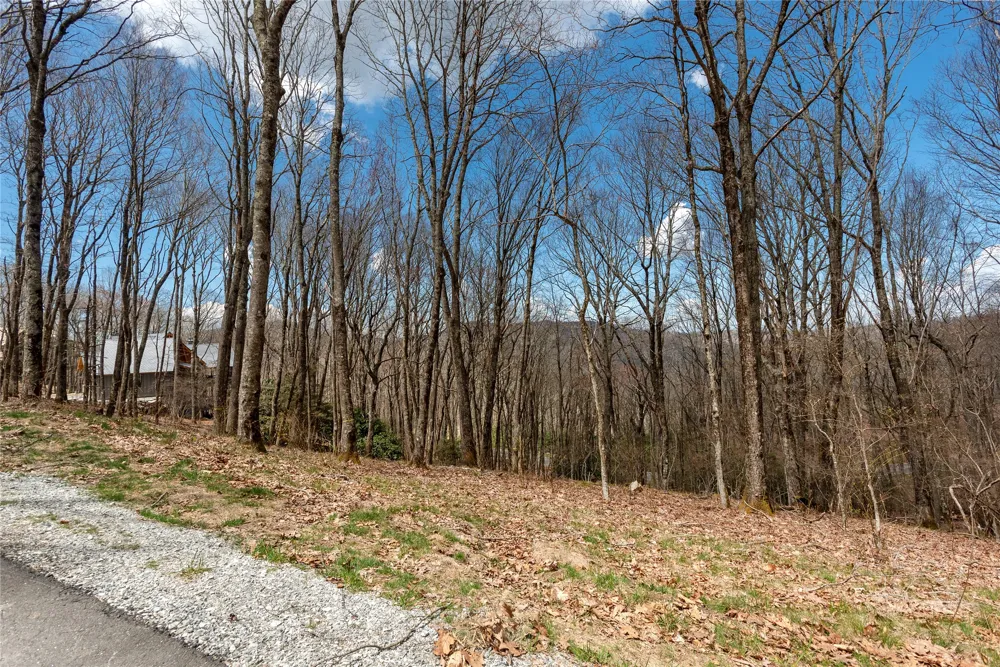 D34 Benchmark Drive Glenville, NC 28736