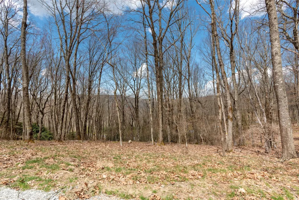 D34 Benchmark Drive Glenville, NC 28736