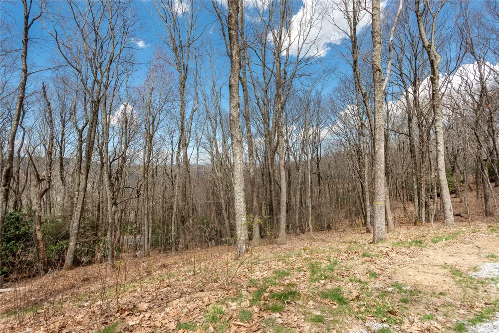 D34 Benchmark Drive Glenville, NC 28736