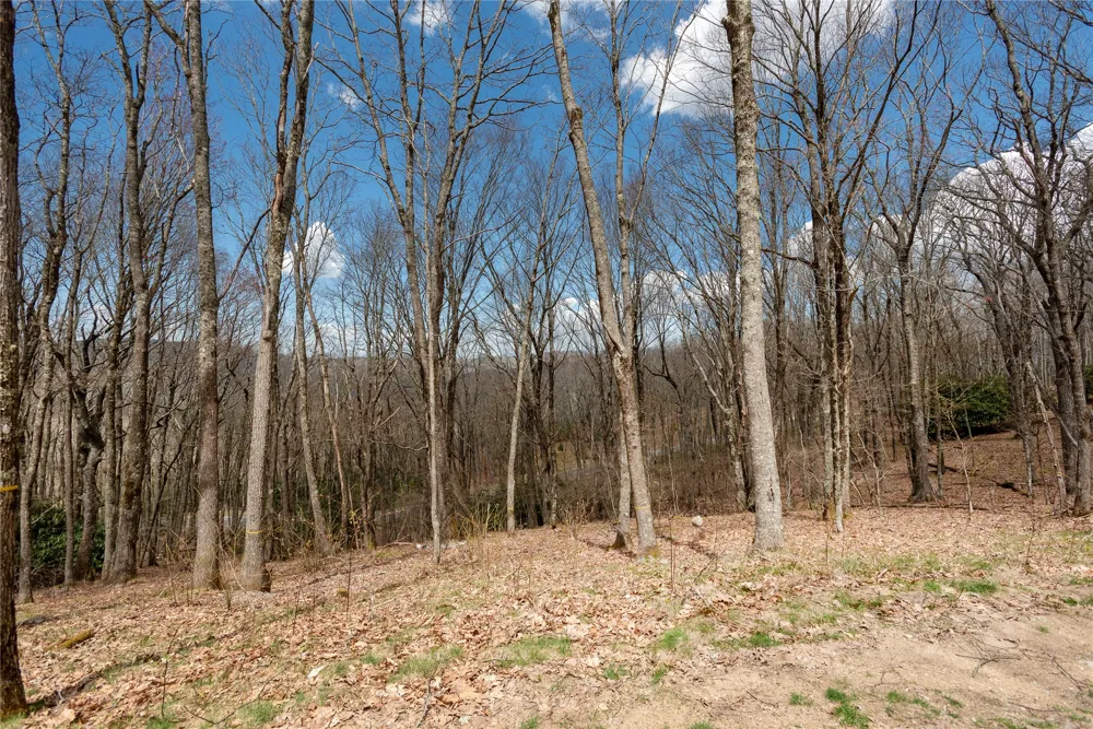 D34 Benchmark Drive Glenville, NC 28736