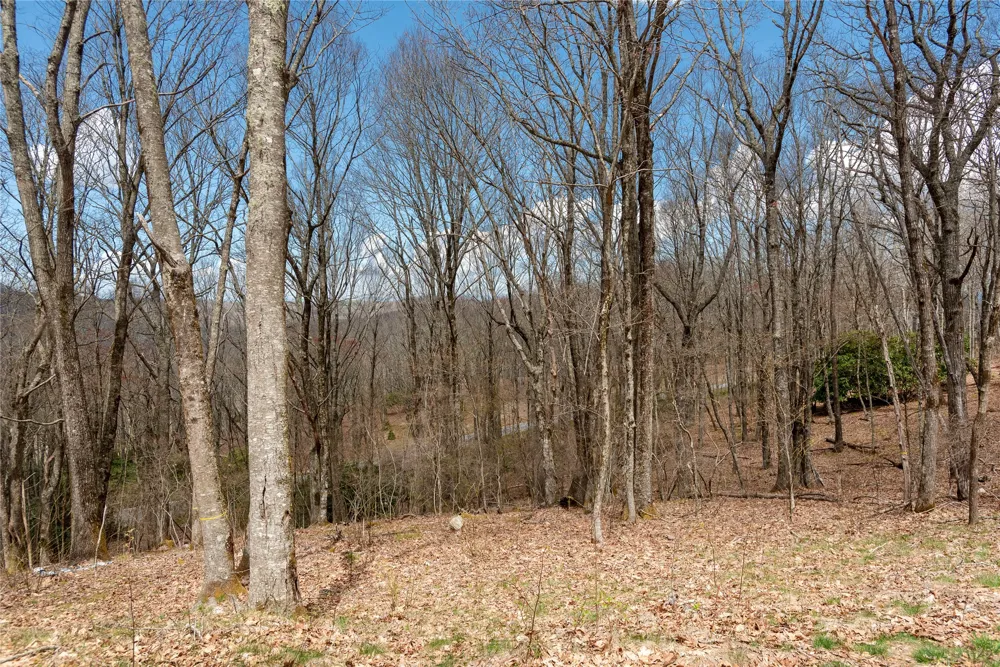 D34 Benchmark Drive Glenville, NC 28736