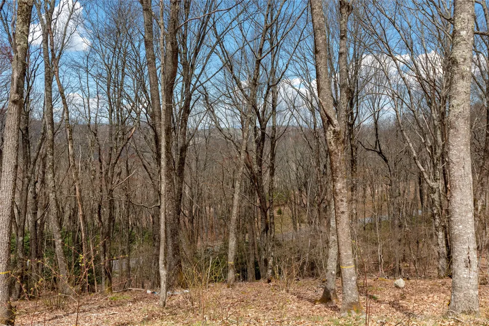 D34 Benchmark Drive Glenville, NC 28736